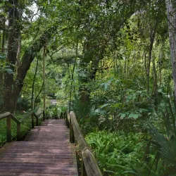 Kelly Park/Rock Springs Run - Apopka