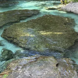 Kelly Park/Rock Springs Run - Apopka