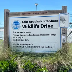 Lake Apopka Wildlife Drive - Apopka