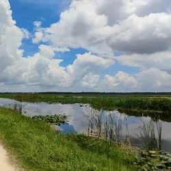 Lake Apopka Wildlife Drive - Apopka