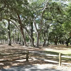 Moss Park - Apopka