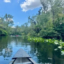 Wekiva Island - Apopka