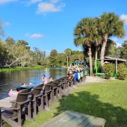 Wekiva Island - Apopka