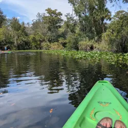 Wekiva Island - Apopka