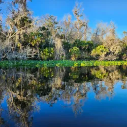 Wekiva Island - Apopka