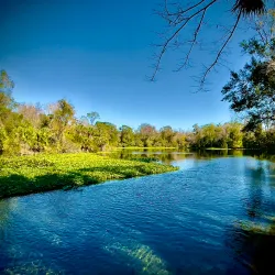 Wekiwa Springs State Park - Apopka