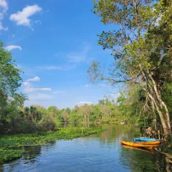 Wekiwa Springs State Park - Apopka