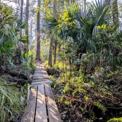 Wekiwa Springs State Park - Apopka
