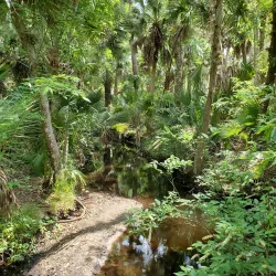 Wekiwa Springs State Park - Apopka