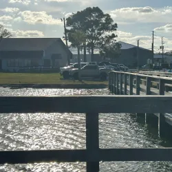 Lake Ariana Nature Preserve - Auburndale