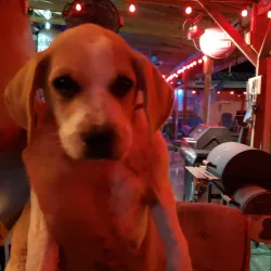 Avon Park Air Force Range - Avon Park