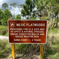 Highlands Hammock State Park - Avon Park