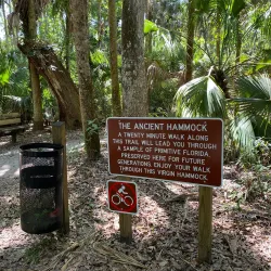 Highlands Hammock State Park - Avon Park