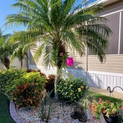 Lake Adelaide Park - Avon Park