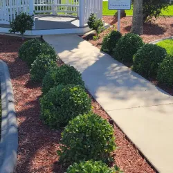 Lake Adelaide Park - Avon Park