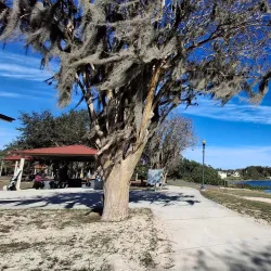 Lake Verona - Avon Park