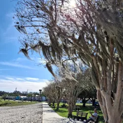 Lake Verona - Avon Park
