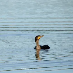 Lake Verona - Avon Park