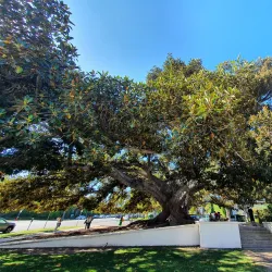 Beverly Gardens Park - Beverly Hills