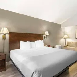 Beverly Hills Hotel - Beverly Hills