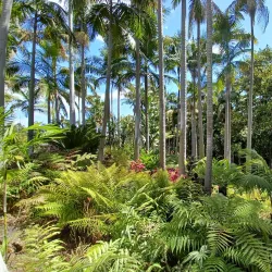 Virginia Robinson Gardens - Beverly Hills