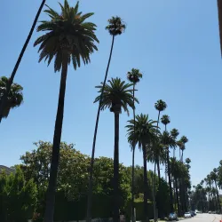 Virginia Robinson Gardens - Beverly Hills