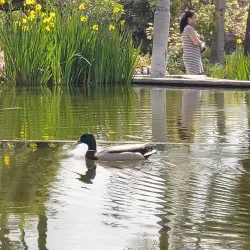 Will Rogers Memorial Park - Beverly Hills