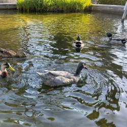 Will Rogers Memorial Park - Beverly Hills