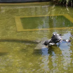 Will Rogers Memorial Park - Beverly Hills