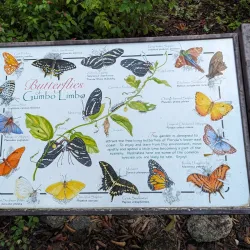 Gumbo Limbo Nature Center - Boca Raton