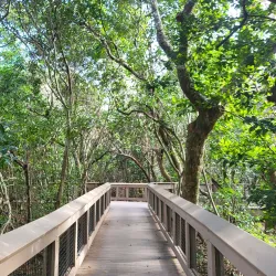 Gumbo Limbo Nature Center - Boca Raton
