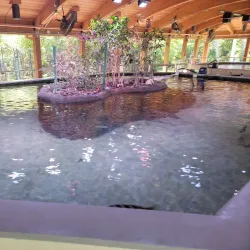 Gumbo Limbo Nature Center - Boca Raton