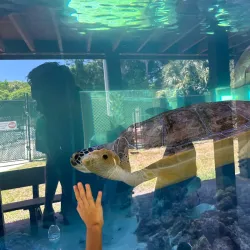 Gumbo Limbo Nature Center - Boca Raton