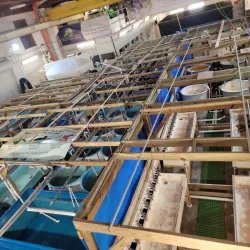 Gumbo Limbo Nature Center - Boca Raton