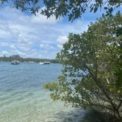 Gumbo Limbo Nature Center - Boca Raton
