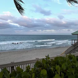 Red Reef Park - Boca Raton