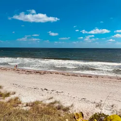 Red Reef Park - Boca Raton