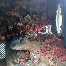 Sugar Sand Park Science Playground - Boca Raton