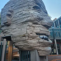 Sugar Sand Park - Boca Raton