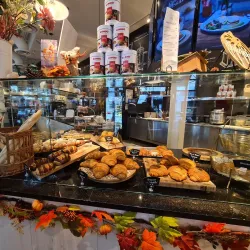 Town Center at Boca Raton - Boca Raton