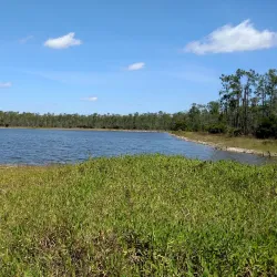 Winkler Preserve - Bonita Springs