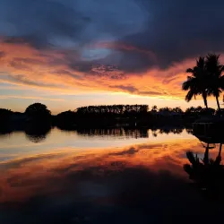 Pine Tree Park - Boynton Beach