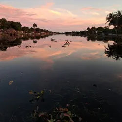Pine Tree Park - Boynton Beach