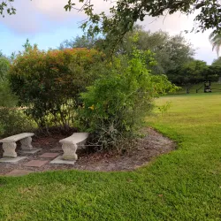 Pine Tree Park - Boynton Beach