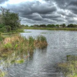 South County Regional Park - Boynton Beach