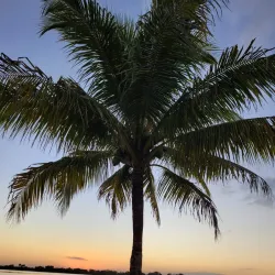 South County Regional Park - Boynton Beach
