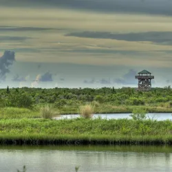 Robinson Preserve - Bradenton