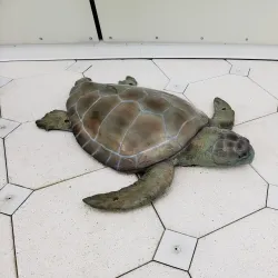 Exploration Tower - Cape Canaveral