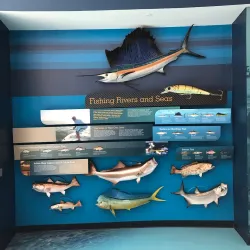 Exploration Tower - Cape Canaveral