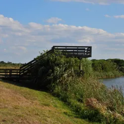Ritch Grissom Memorial Wetlands - Cape Canaveral
